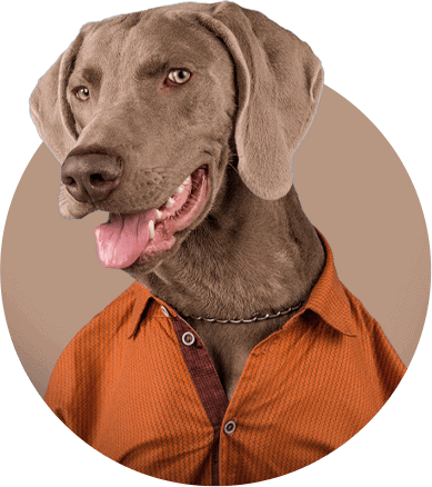 Best Private School San Antonio